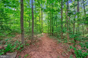 106 Cloverhill Ct, Locust Grove, VA 22508 - Photo 39