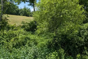 10198 Old Rapidan Rd, Orange, VA 22960 - Photo 25