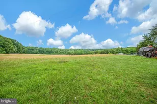 6317 Louisianna Rd, Locust Grove, VA 22508 - Photo 45