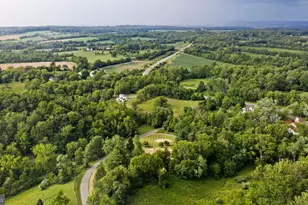 9271 Little Skyline Dr, Orange, VA 22960 - Photo 57
