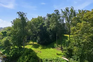 1276 Greenfield Ct, Locust Grove, VA 22508 - Photo 19
