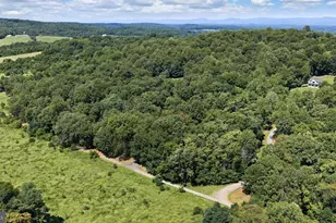 8350 Rapidan Hunt Ln, Rapidan, VA 22733 - Photo 39