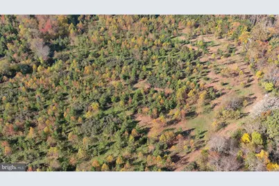 Old Barboursville Road, Gordonsville, VA 22942 - Photo 3