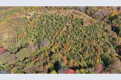 Old Barboursville Road, Gordonsville, VA 22942 - Photo 5