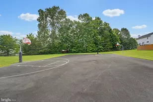 36077 Coyote Trail, Locust Grove, VA 22508 - Photo 51