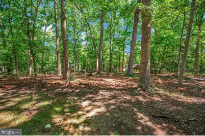 143 Jefferson Avenue, Locust Grove, VA 22508 - Photo 33