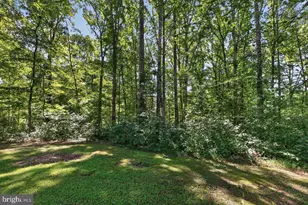30222 Mine Run Rd, Locust Grove, VA 22508 - Photo 93