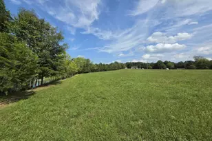 14189 Marquis Rd, Unionville, VA 22567 - Photo 49