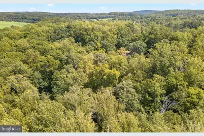 9599 Woodberry Forest Road, Orange, VA 22960 - Photo 51