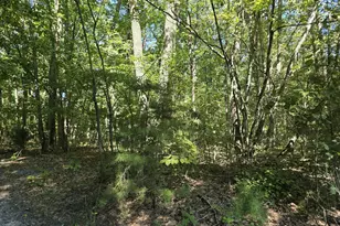 27547 Old Office Rd, Culpeper, VA 22701 - Photo 25