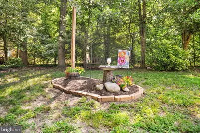 319 Birchside Circle E, Locust Grove, VA 22508 - Photo 47