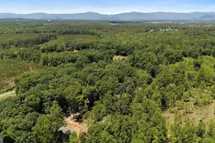 12121 Albano Rd, Barboursville, VA 22923 - Photo 57