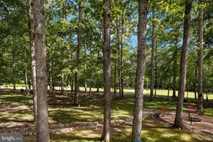 303 Limestone Ln, Locust Grove, VA 22508 - Photo 29