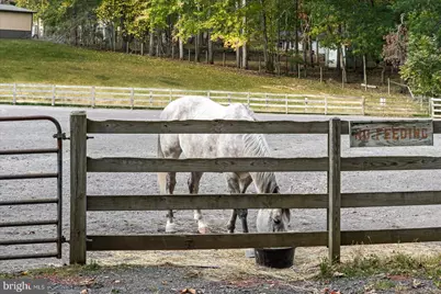 407 Mt Pleasant Drive, Locust Grove, VA 22508 - Photo 45