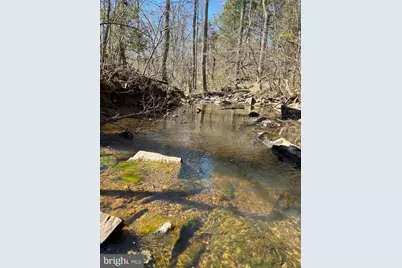 Lot 55 & 56 St Just Drive, Unionville, VA 22567 - Photo 7