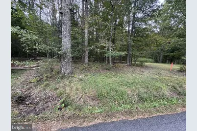 Old Office Road, Locust Grove, VA 22508 - Photo 3