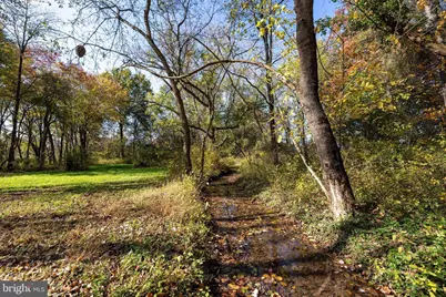 0 Dry Run Road, Luray, VA 22835 - Photo 53