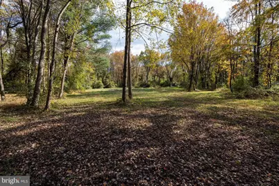 0 Dry Run Road, Luray, VA 22835 - Photo 49