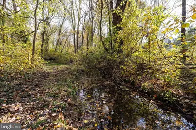 0 Dry Run Road, Luray, VA 22835 - Photo 55