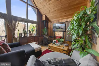 125 National Forest Access Road, Luray, VA 22835 - Photo 5