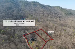 125 National Forest Access Rd, Luray, VA 22835 - Photo 19