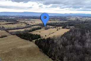 1159 Pine Grove Rd, Stanley, VA 22851 - Photo 147