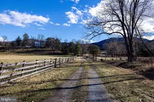 1159 Pine Grove Rd, Stanley, VA 22851 - Photo 123