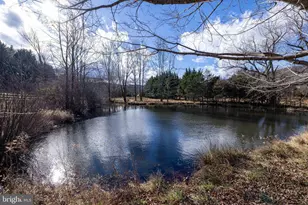 1159 Pine Grove Rd, Stanley, VA 22851 - Photo 117