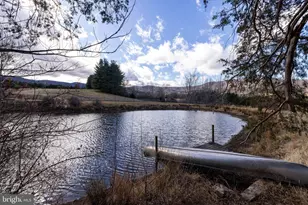 1159 Pine Grove Rd, Stanley, VA 22851 - Photo 111