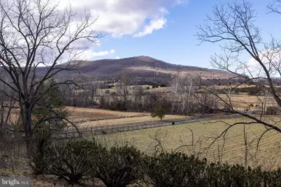 1159 Pine Grove Road, Stanley, VA 22851 - Photo 93