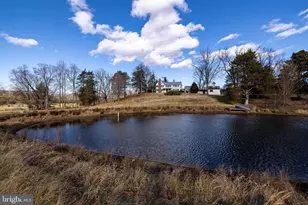 1159 Pine Grove Rd, Stanley, VA 22851 - Photo 115