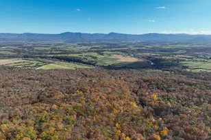 187 Holly Hl Rd, Luray, VA 22835 - Photo 21