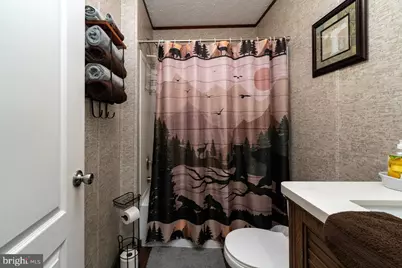 187 Holly Hill Road, Luray, VA 22835 - Photo 37