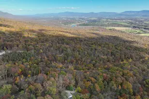 187 Holly Hl Rd, Luray, VA 22835 - Photo 15