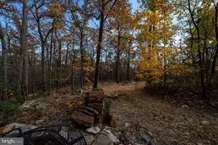 187 Holly Hl Rd, Luray, VA 22835 - Photo 57