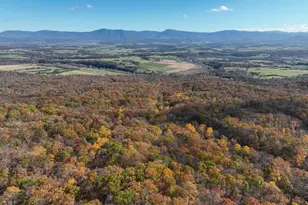 187 Holly Hl Rd, Luray, VA 22835 - Photo 9