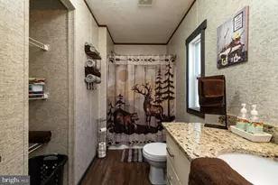 187 Holly Hl Rd, Luray, VA 22835 - Photo 43