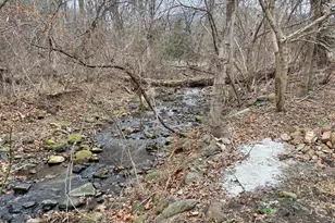 3485 & 3465 Pine Grove Rd, Stanley, VA 22851 - Photo 5