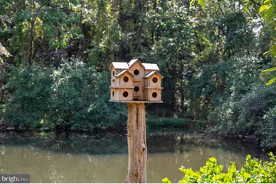 2002 Balkamore Hill Road, Stanley, VA 22851 - Photo 39