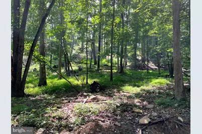 12 Galloway Spring Lane, Shenandoah, VA 22849 - Photo 11