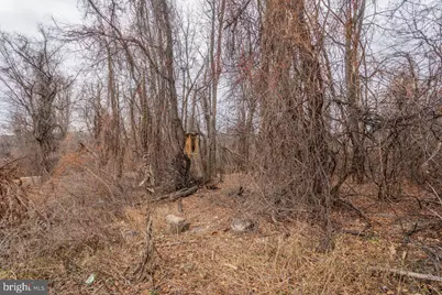 0 Short Cut Road, Stanley, VA 22851 - Photo 3