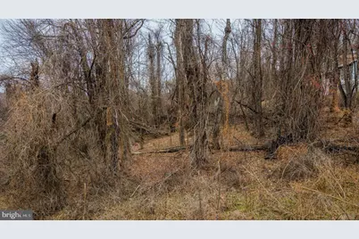 0 Short Cut Road, Stanley, VA 22851 - Photo 5