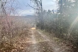 305 Rickard Pl, Rileyville, VA 22650 - Photo 27