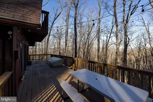 103 Buzzard View Pl, Shenandoah, VA 22849 - Photo 53