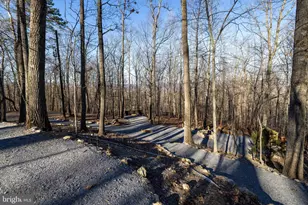 103 Buzzard View Pl, Shenandoah, VA 22849 - Photo 61