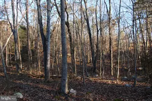 Lookout Dr, Shenandoah, VA 22849 - Photo 1