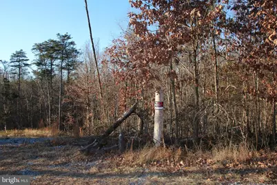 Lookout Drive, Shenandoah, VA 22849 - Photo 5
