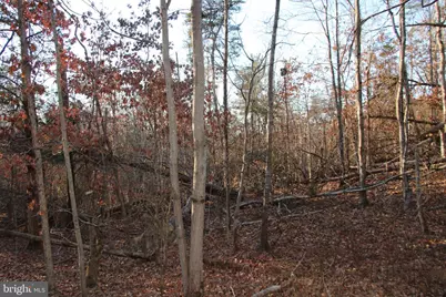 Lookout Drive, Shenandoah, VA 22849 - Photo 13