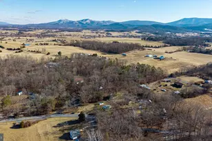 1553 Redman Store Rd, Luray, VA 22835 - Photo 69