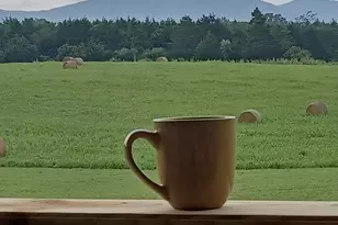 1195 Mountain View Dr, Rileyville, VA 22650 - Photo 33